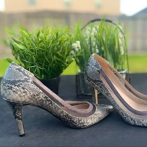 BCBGMAXAZRIA Snake Print heels. Size 6.5